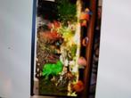 Te koop compleet aqarium, Dieren en Toebehoren, Vissen | Aquaria en Toebehoren, Ophalen of Verzenden, Zo goed als nieuw, Gevuld zoetwateraquarium
