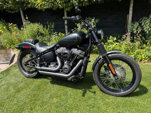 Matzwarte dikke FXBB Street Bob - Harley Davidson, Motoren, Motoren | Harley-Davidson, Particulier, Chopper, Ophalen