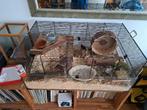 Hamster spullen: 2 hokken, loopradjes en andere accessoires, Gebruikt, Muis, Hok, 75 tot 110 cm