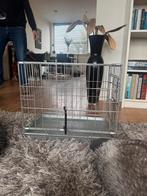 Honden bench 50x35x40 cm, Ophalen of Verzenden, Zo goed als nieuw, Minder dan 75 cm, Minder dan 65 cm