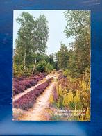 Ansichtkaart Holten, Verzamelen, Ansichtkaarten | Nederland, Ophalen of Verzenden, Overijssel