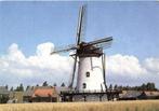 Stellingmolen De Korenbloem - Scherpenisse gem. Tholen - 198, Verzamelen, Ansichtkaarten | Nederland, Ophalen of Verzenden, Voor 1920