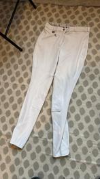 Rijbroek rib wit Ruitergilde maat 42, Dieren en Toebehoren, Ophalen of Verzenden, Dressuur, Onderkleding