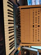 Cobalt 8 by Modal Electronics, Muziek en Instrumenten, Synthesizers, Ophalen of Verzenden, Zo goed als nieuw, Overige aantallen