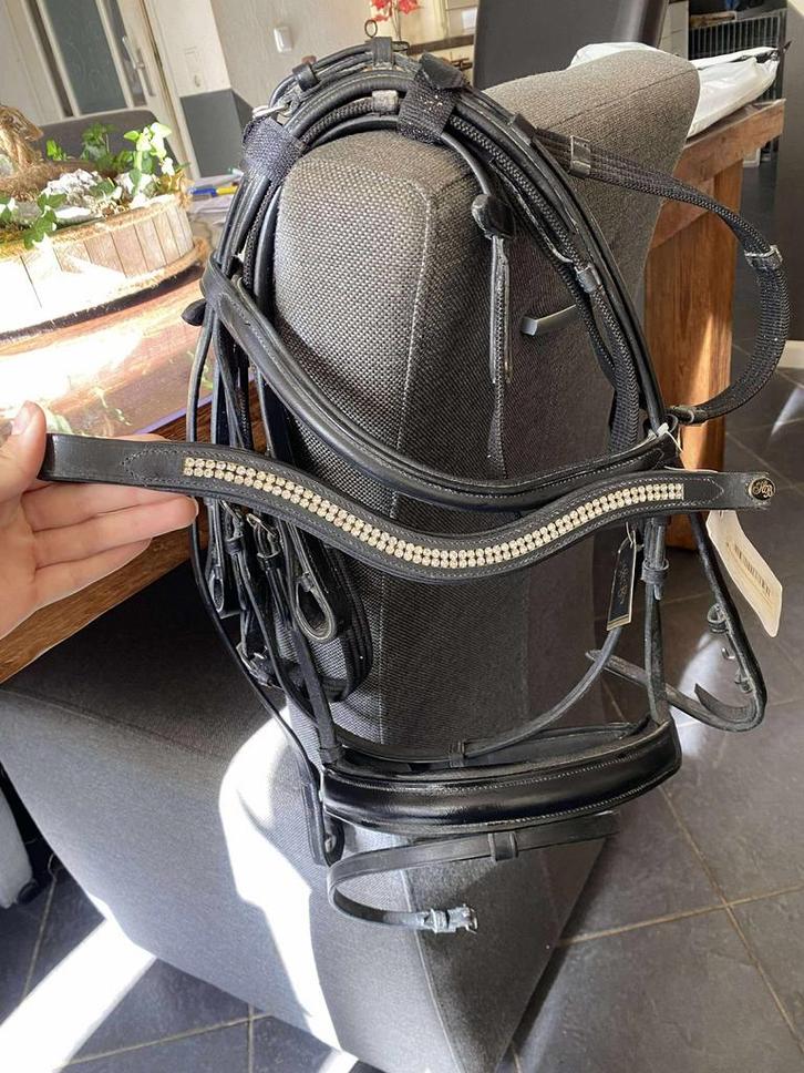 NIEUW, diverse hoofdstellen, caps en dekens!!, Dieren en Toebehoren, Paarden en Pony's | Hoofdstellen en Tuigage, Nieuw, Overige soorten