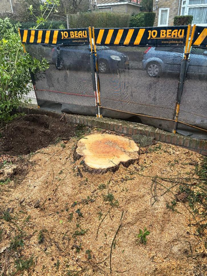 Boomstronken verwijderen, bramen en bamboe verwijderen, Tuin en Terras, Overige Tuin en Terras, Nieuw, Ophalen of Verzenden