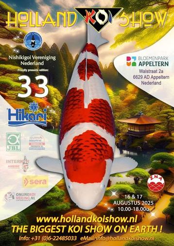 koi op Holland Koi Show beschikbaar voor biedingen