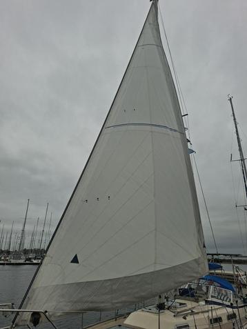 voorzeil genua voor oa Hallberg Rassy beschikbaar voor biedingen