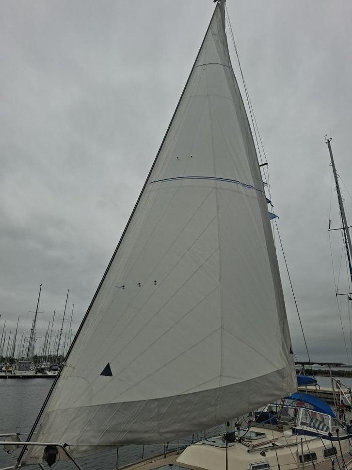 voorzeil genua voor oa Hallberg Rassy, Watersport en Boten, Zeilen en Zeiltoebehoren, Gebruikt, Genua of Fok, 15 tot 30 m², 6 meter of meer