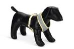 Nieuw Beeztees Puppy Bronda – Hondentuig – Grijs – L, Ophalen, Nieuw