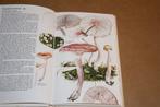 Paddestoelen in de natuur. Plaatjeszwammen., Boeken, Ophalen of Verzenden, Gelezen, Natuur algemeen