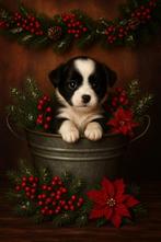 raszuiver chihuahua reutje, Dieren en Toebehoren, Reu, CDV (hondenziekte), 8 tot 15 weken, Eén hond