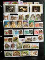 Wilde katten, katachtigen, wild cats: 120 verschillende, Ophalen of Verzenden, Gestempeld, Dier of Natuur