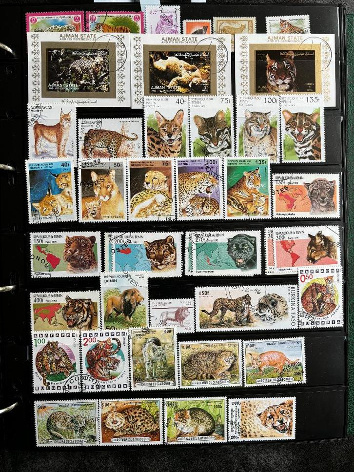 Wilde katten, katachtigen, wild cats: 120 verschillende, Postzegels en Munten, Postzegels | Thematische zegels, Gestempeld, Dier of Natuur