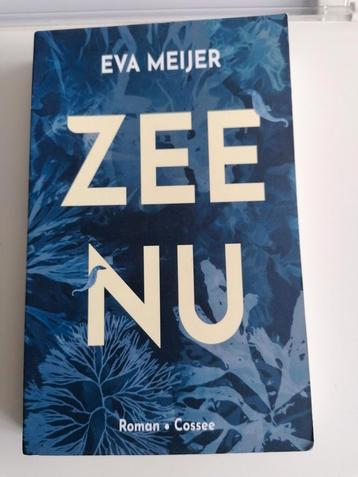 Zee Nu van Eva Meijer