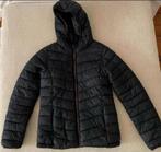 Zwarte gewatteerde jas met capuchon - Maat M, Ophalen of Verzenden, Zo goed als nieuw, Meisje, Jas