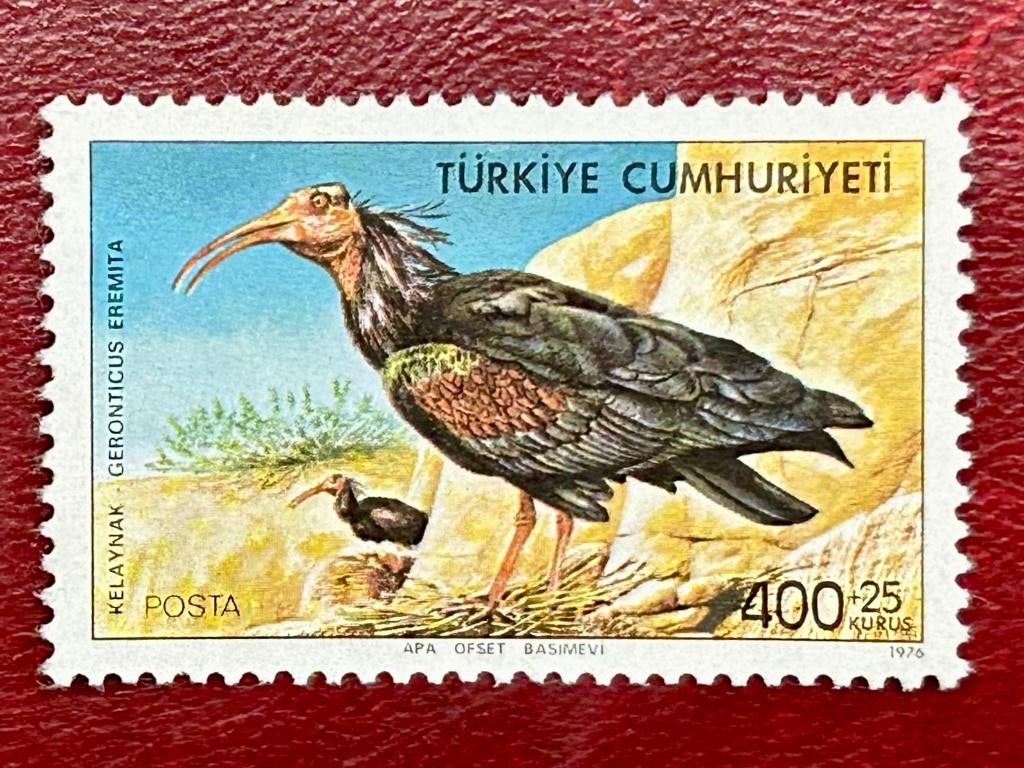 heremietibis - Turkije - 1976, Verzenden, Postfris, Dier of Natuur