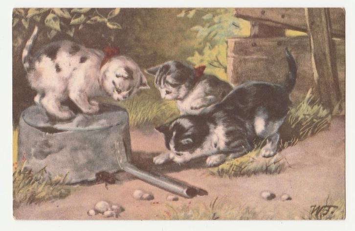 Poezen met gieter.  Fialkoska.  Illustrateurs., Verzamelen, Ansichtkaarten | Themakaarten, Gelopen, 1920 tot 1940, Overige thema's