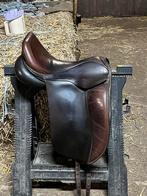 Bruin hulsebos Dyn 3., Ophalen, Gebruikt, Dressuur