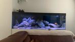Zeer groot aqaurium  (advertentie lezen dan pas reageren!), Dieren en Toebehoren, Ophalen, Zo goed als nieuw, Leeg aquarium