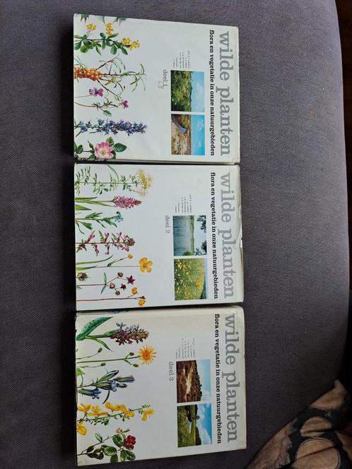 Wilde planten, flora en vegetatie in onze natuurgebieden, Boeken, Studieboeken en Cursussen, Zo goed als nieuw, Niet van toepassing