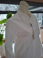 Nieuw Witte Steppin Out Blouse  XXL 44 ook in roze en blauw, Steppin Out, Wit, Maat 42/44 (L), Nieuw