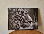 Schilderij Luipaard in Zwart-Wit, Huis en Inrichting, Woonaccessoires | Schilderijen, Tekeningen en Foto's, Minder dan 50 cm, Ophalen of Verzenden