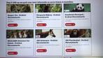 Voor €18,50 naar de dierentuin?, Drie personen of meer
