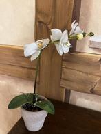 Kunst orchidee, gezellig op tuintafel of in woonkamer, Ophalen of Verzenden, Nieuw