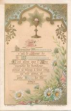 Prachtig prentje van Priesterwijding - Leonard Lijdems 1894, Ophalen of Verzenden, Zo goed als nieuw, Kaart of Prent, Christendom | Katholiek