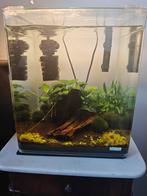 Nano Cube 30L incl. Inhoud, Dieren en Toebehoren, Vissen | Aquaria en Toebehoren, Ophalen, Gebruikt, Gevuld zoetwateraquarium