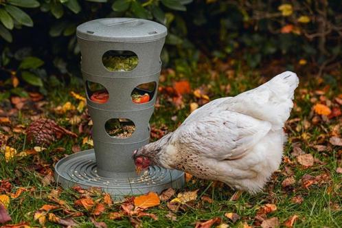 Beeztees kip VOERtoren, voerbak, eco friendly, zgan kippen, Dieren en Toebehoren, Overige Dieren-accessoires, Zo goed als nieuw
