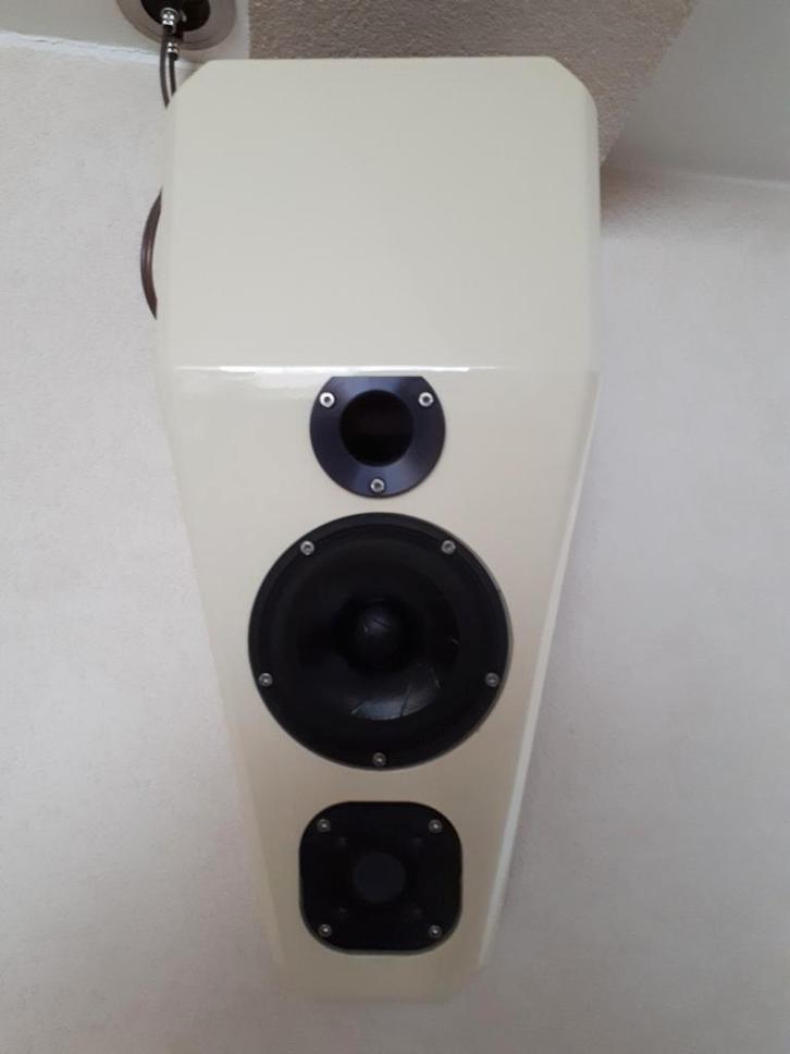 Wilson Audio Watch Surround Series 1 Speaker, Audio, Tv en Foto, Luidsprekers, Gebruikt, Front, Rear of Stereo speakers, 120 watt of meer