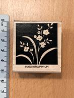 Stampinup los stempel bold, Ophalen of Verzenden, Zo goed als nieuw