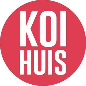 week aanbieding koi  beschikbaar voor biedingen