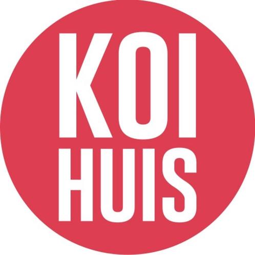 week aanbieding koi, Dieren en Toebehoren, Vissen | Vijvervissen, Karper of Koi