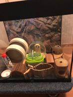 hamsterscaping/ ook geschikt voor muis en ratten. 10 euro., Dieren en Toebehoren, Ophalen, Gebruikt, Overige typen, 60 tot 90 cm
