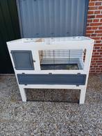 Ferplast hok, Dieren en Toebehoren, Knaagdieren en Konijnen | Hokken en Kooien, Cavia, Hok, Ophalen, Minder dan 60 cm