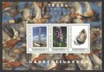 Postzegels Waddeneilanden: Texel 1, Postzegels en Munten, Ophalen of Verzenden, Na 1940, Postfris