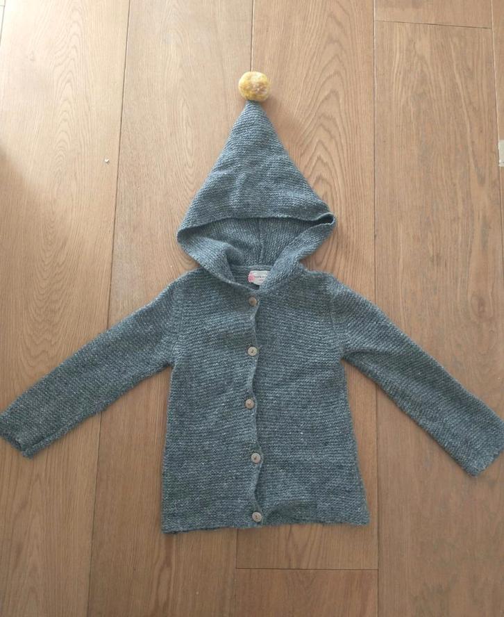 Wollen pixie vestje rond maat 110, Kinderen en Baby's, Kinderkleding | Maat 110, Gebruikt, Jongen of Meisje, Trui of Vest, Ophalen of Verzenden
