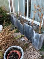 Gratis af te halen stenen potten, Ophalen, Steen, Gebruikt, Tuin