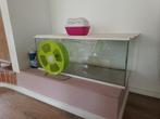 Terrarium, glazen hok/ kooi voor hamster, Dieren en Toebehoren, Knaagdieren en Konijnen | Hokken en Kooien, Gebruikt, Hamster
