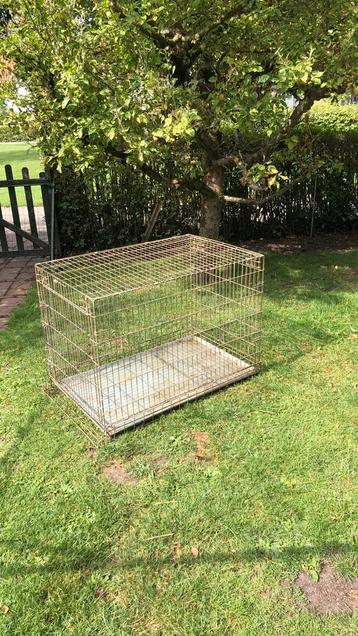 Grote honden bench beschikbaar voor biedingen