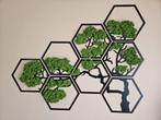 Mosschilderij - heksagon -boom, Huis en Inrichting, Woonaccessoires | Wanddecoraties, 5411EN Gameren, Nieuw, Ophalen of Verzenden