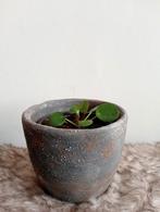 Robuust antraciet bloempot handgemaakt 10cm meerdere besch., Ophalen, Overige materialen, Rond, Binnen