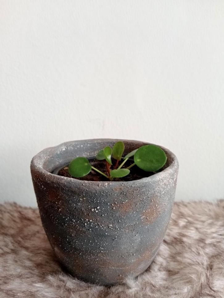 Robuust antraciet bloempot handgemaakt 10cm meerdere besch., Tuin en Terras, Bloempotten, Zo goed als nieuw, Overige materialen