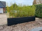 Plantenbak- scheidingswand + bamboe, Ophalen, Rond, Zo goed als nieuw, 60 cm of meer