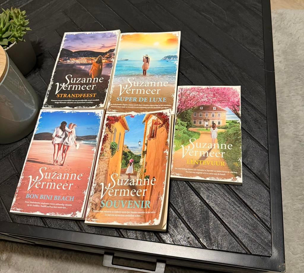 Boeken suzanne vermeer, Boeken, Historische romans, Ophalen of Verzenden, Zo goed als nieuw