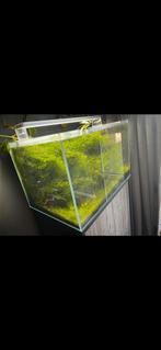 Superfish Scaper 70 (leeg), Ophalen, Zo goed als nieuw, Leeg aquarium