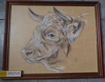 STIER * GEMENGDE TECHNIEK * In Lijst * beschikbaar voor biedingen